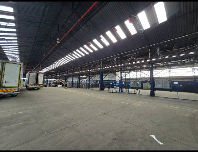 14,150M² FACTORY TO LET IN TUNNEY